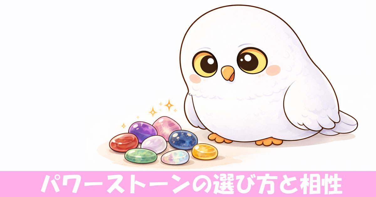 パワーストーンを眺めるフクロウ