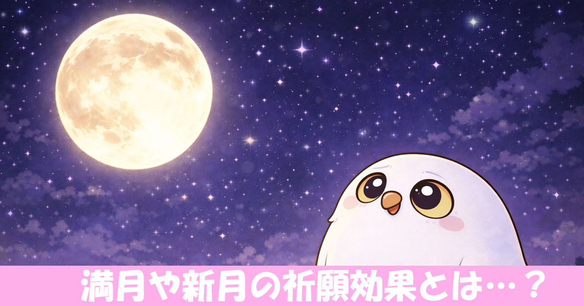 満月を眺めるフウロウ