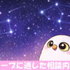 星座を探すフクロウ