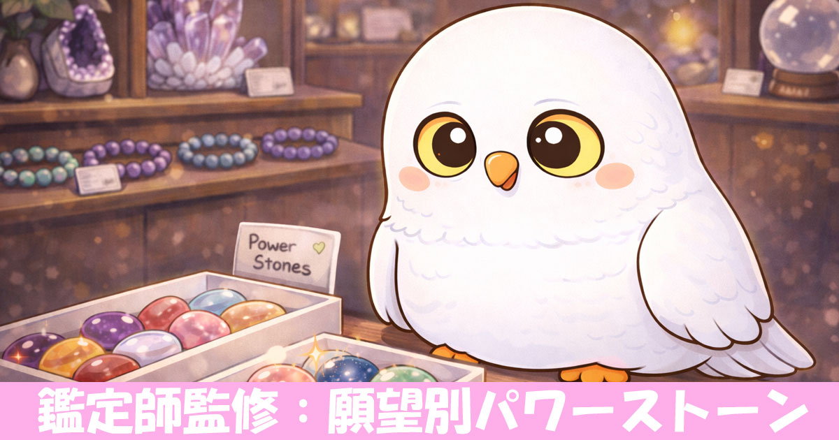 パワーストーンのお店にいるフクロウ