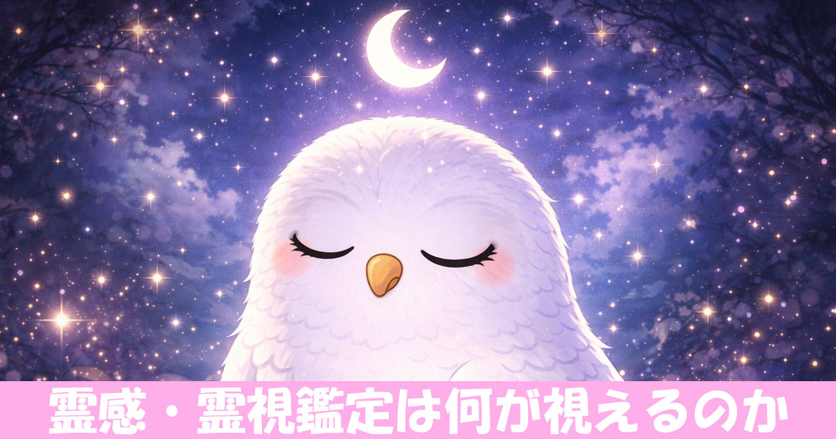 神秘的なフクロウ