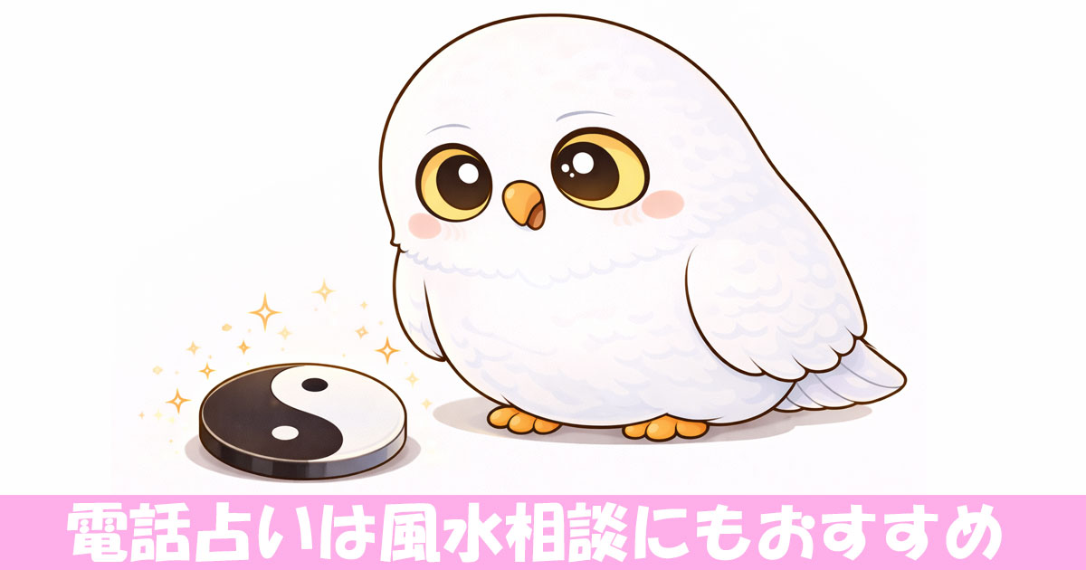 風水マークに興味津々のフクロウ