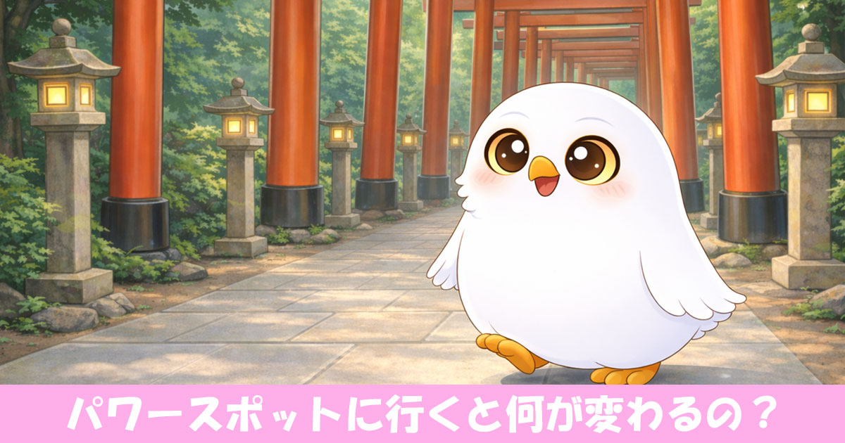 参道を歩くフクロウ