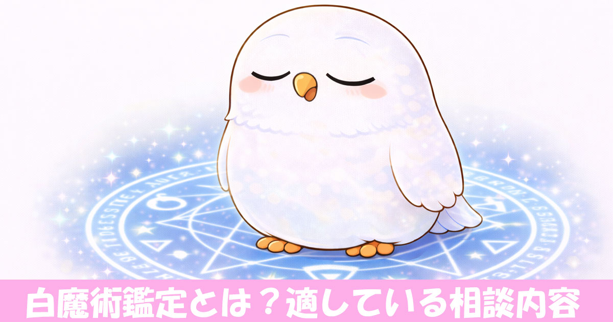 白魔術をしようとしているフクロウのイラスト